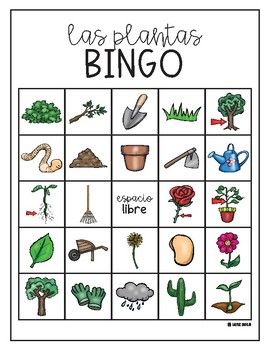 Bingo de las Plantas Medicinales
