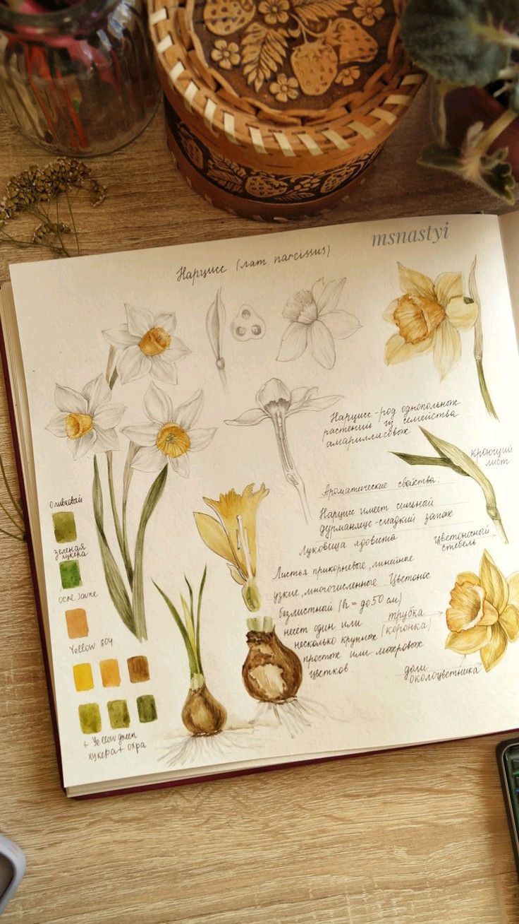 Cuaderno de Explorador Botánico