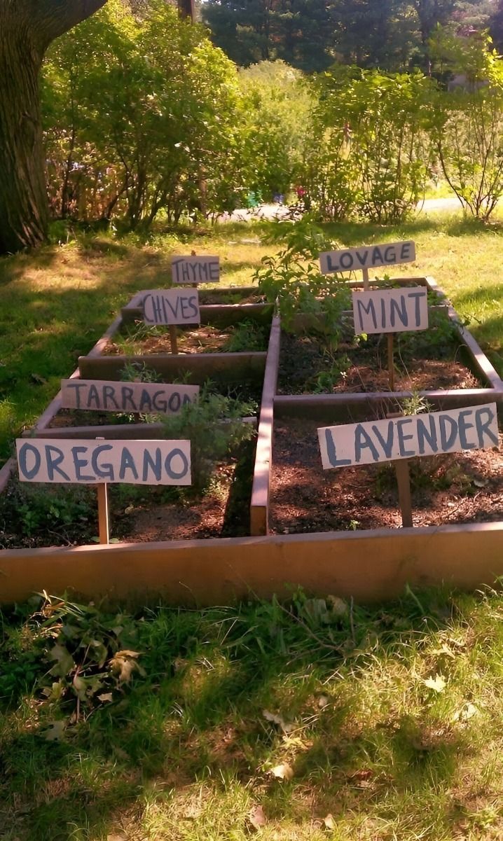 Jardín Medicinal en Miniatura